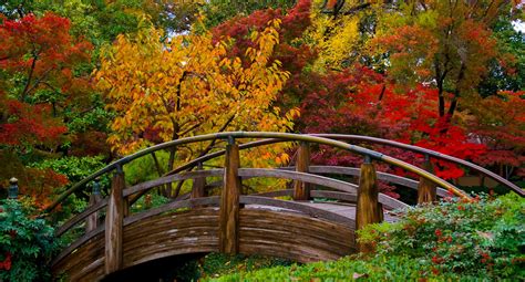 Japanese Garden Docent Tours - Botanical Research Institute of Texas ...