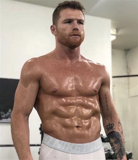 Canelo Álvarez Wiki, Height, Weight, Age, Girlfriend, Family, Biography ...