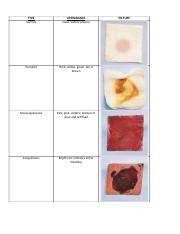 Stages Of Wound Drainage