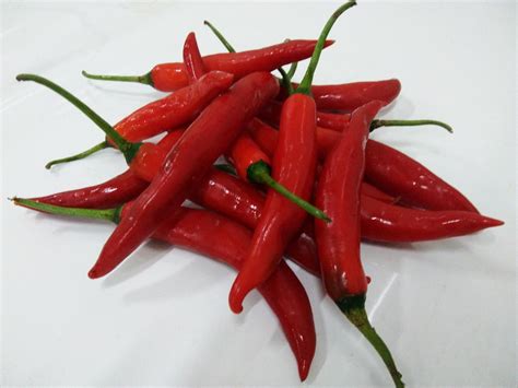 Red Chilli 150g+/- | Vegetable Wholesaler | CCL IMPEX