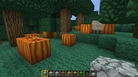 1.2.3 Random Pumpkin Seed Minecraft Project