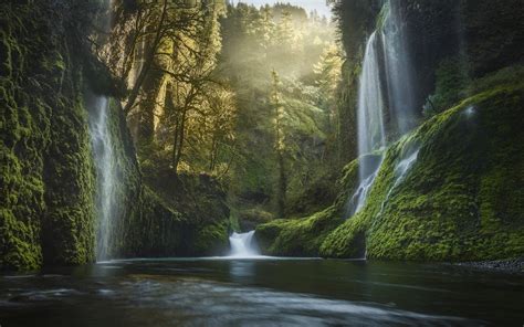 Forest Waterfall HD Wallpapers on WallpaperDog