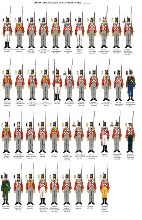 British Army Uniforms During Napoleonic Wars at Aaron Dugger blog