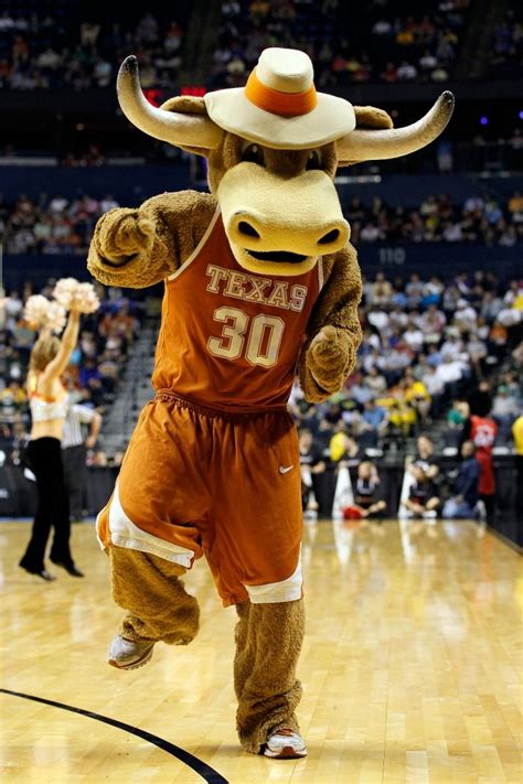 Mascot Monday: University of Texas Longhorns | Surviving College ...