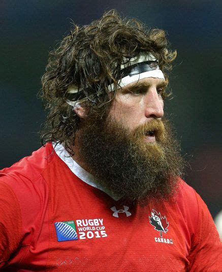 Rugby World Cup 2015: the 15 best hairstyles | Beard game, Sports ...