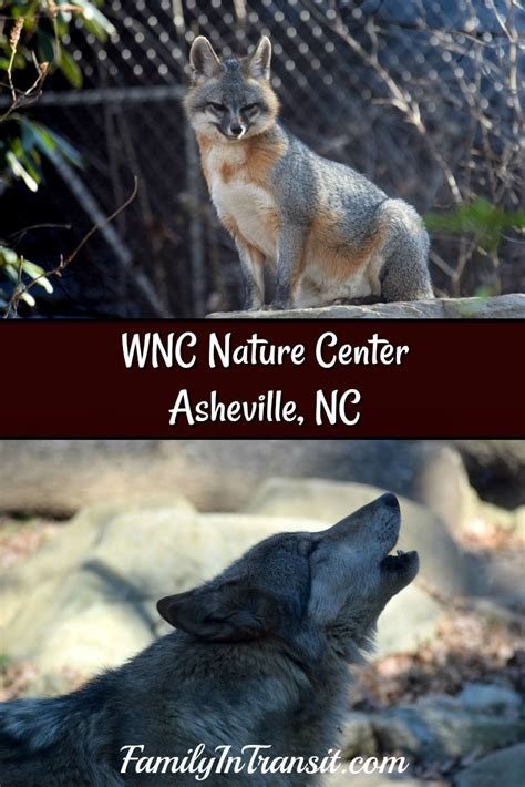 Learn & Explore at the WNC Nature Center | Western NC Nature Center