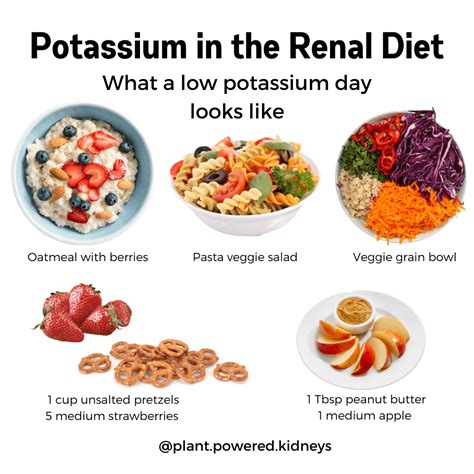 Potassium in Pasta: Your Best and Worst Options for Kidneys