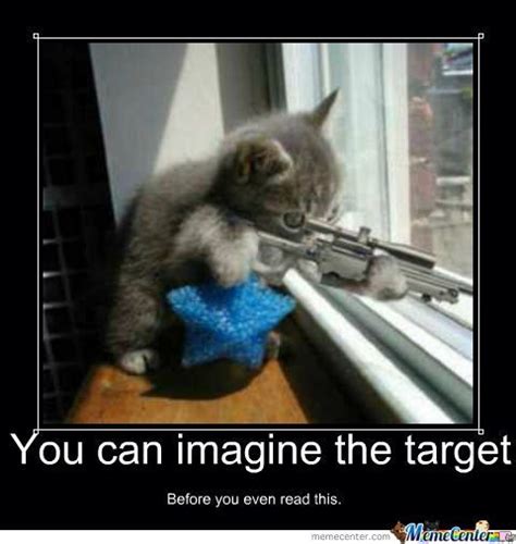 Cat Holding Gun Meme