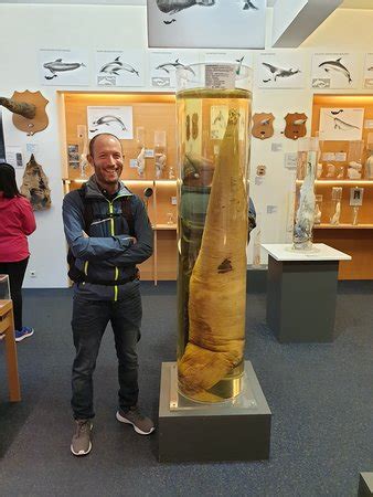 Icelandic Phallological Museum (Reykjavik) - 2020 All You Need to Know ...