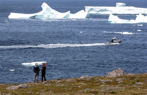 Cape Spear - Icebergs, Ice Harvesters, and Photographers | Flickr