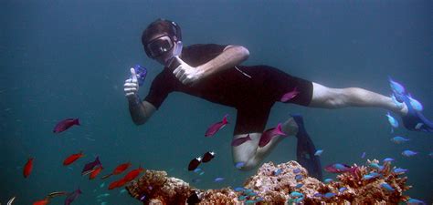 Bahamas Adventure Snorkel | Bahamas Snorkeling Tours