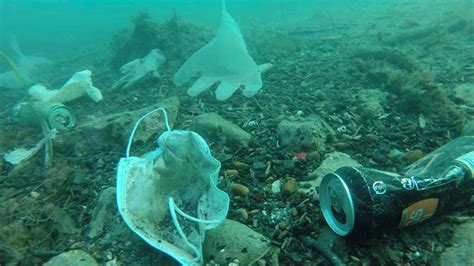 Gloves 'floating' like jellyfish: COVID-19 waste littering the ocean - CGTN