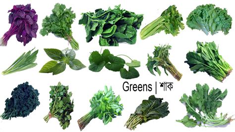 Types Of Green Leafy Vegetables