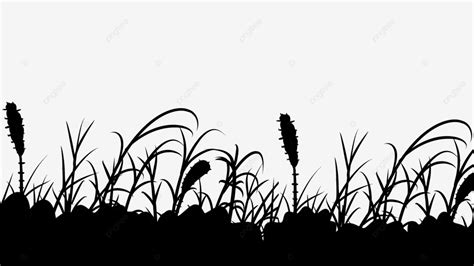 Grass Silhouette Black Grass Silhouette, Grass, Silhouette, Plant PNG ...