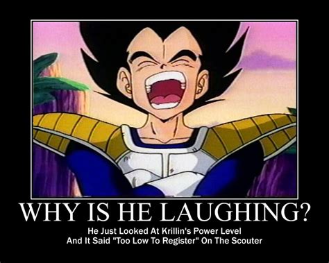 Vegeta Laughing Meme - Dragon Ball Z Photo (35519247) - Fanpop - Page 93