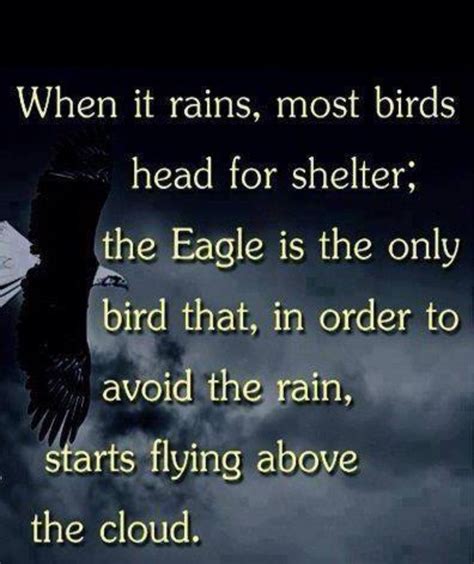 The Eagle Has Landed Quote - ShortQuotes.cc