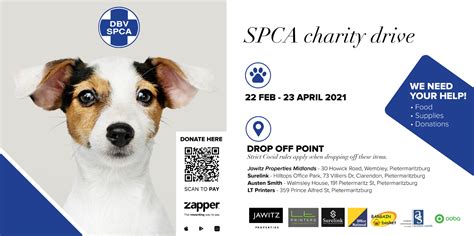 Donate Blankets To The SPCA To Help Keep Animals Warm And Comfortable ...