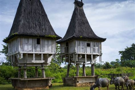 Timor-Leste People & Culture - Tourism Timor-Leste