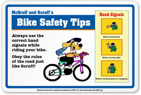 bike safety tips - Proactive World News