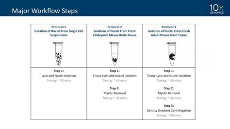 10x-pert Workshop | How to Single Nuclei RNA-seq - YouTube