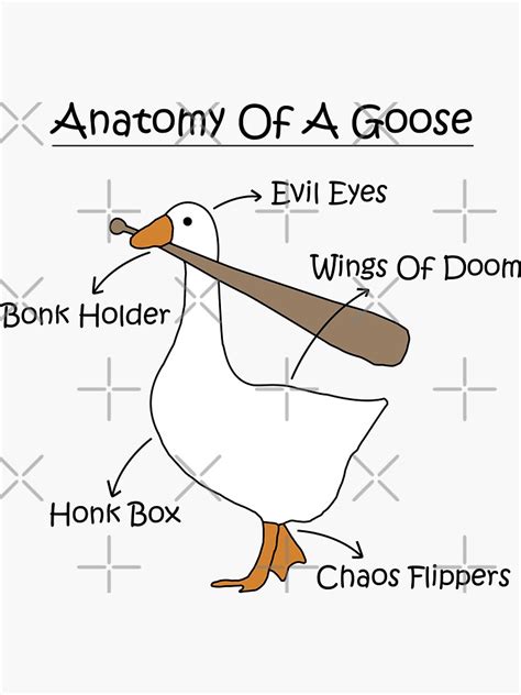 "Anatomy Of A Goose Meme - funny goose with bonk meme" Sticker for Sale ...