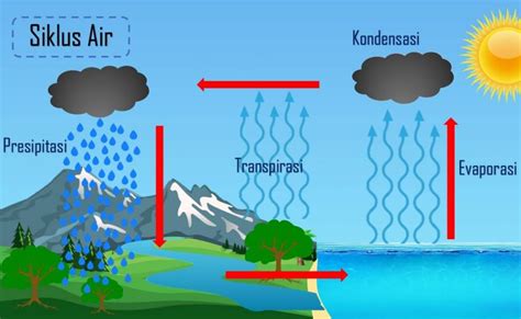 Siklus Hidrologi Lengkap dengan Gambar dan Penjelasannya