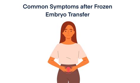 IVF Frozen Embryo Transfer - Timeline, Process, Pregnancy Test