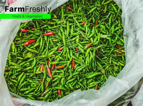 A Grade Green Kanthari Chilli, Kerala, Packaging Size: 5 Kg at Rs 450 ...