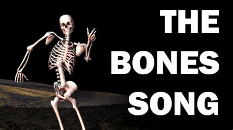 SKELETON BONES SONG - LEARN IN 3 MINUTES!!! | Human anatomy and ...