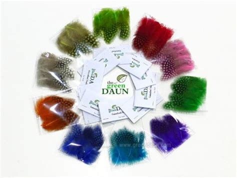 Guinea Fowl Feathers - Green Daun