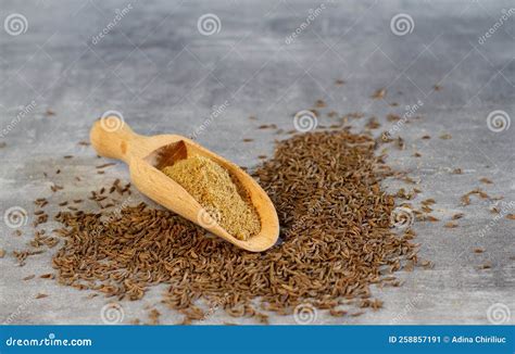 Pile of Dry Caraway Spice with Ground Caraway Powder in Wooden Spoon ...