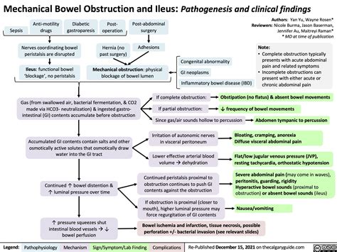 mechanical-bowel-obstruction-and-ileus-pathogenesis-and-clinical ...