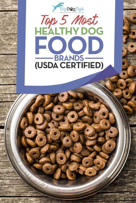 Top 5 Most Healthy Dog Food Brands in 2017 (USDA Organic Certified)