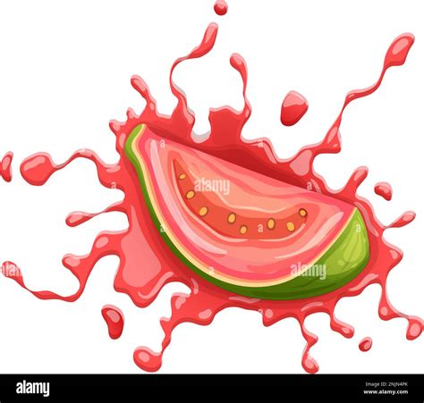 guava fruit juice cartoon vector illustration color Stock Vector Image ...