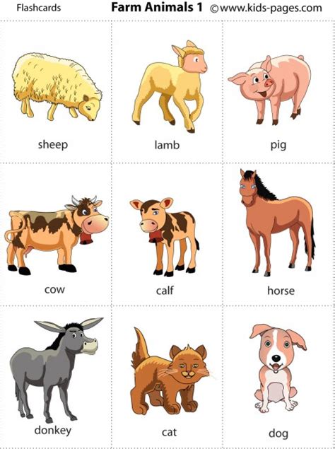 Farm Animals 1 flashcard