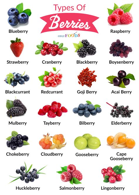 Types Of Berry Fruits