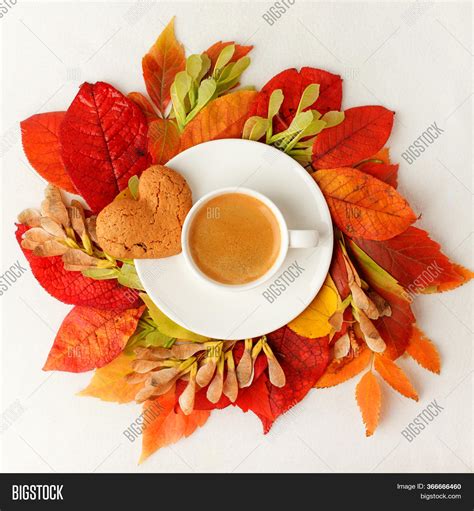 Cup Coffee Autumn Image & Photo (Free Trial) | Bigstock