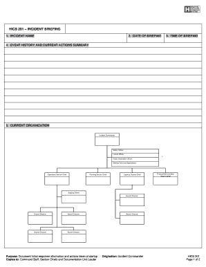 Ics Chart Template Fillable - Best Picture Of Chart Anyimage.Org