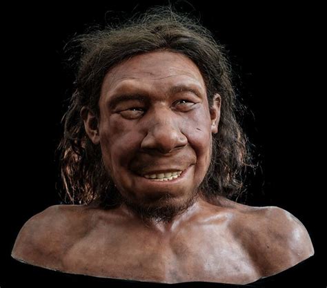 Putting a face to Krijn, the Netherland's oldest Neanderthal man