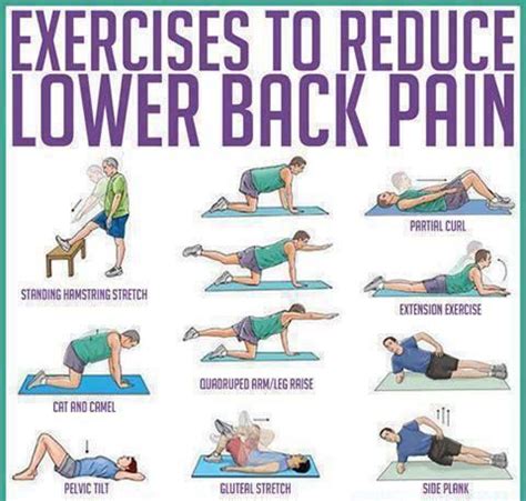 Lower Back Pain Exercises PDF | ... stretch and maintain their backs. I ...