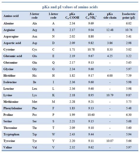 Amino acid properties