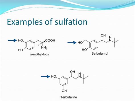 PPT - Phase-II Drug Metabolism PowerPoint Presentation, free download ...