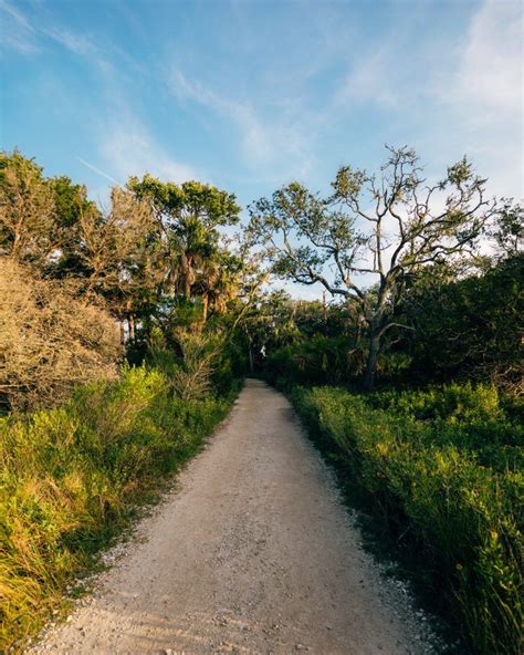 The Photographers Guide to Botany Bay SC | Botany bay, South carolina ...