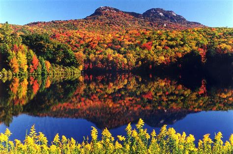 Blue Ridge Parkway Fall Foliage | Blue Ridge Mountains Fall Foliage ...