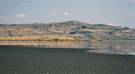 Lake Natron | Salt Flats, Soda Lake, Rift Valley | Britannica