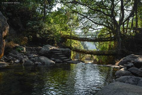 trekking | In photos: Trek to the Double Decker living root bridge ...