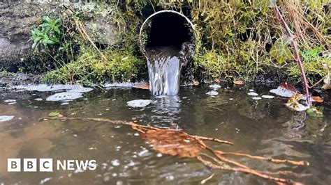 Alerts over river sewage to be tweeted in Oxford - BBC News