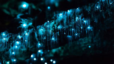 New Zealand's Waitomo Glowworm Caves in 4K | The Kid Should See This