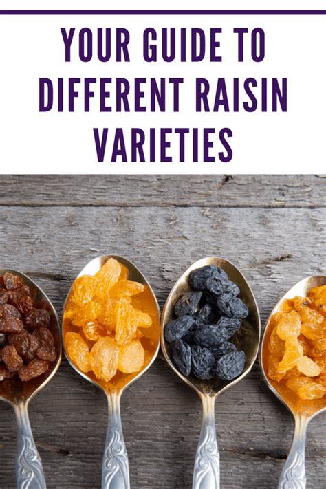 Your Guide to the Different Raisin Varieties • Mommy's Memo