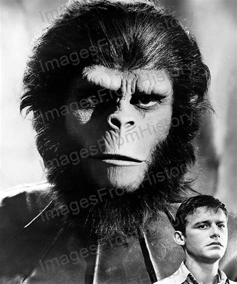 8x10 Print Roddy McDowall Planet of the Apes 1968 #RMPA | eBay | Planet ...